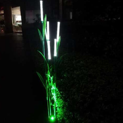 气泡芦苇灯 (2)